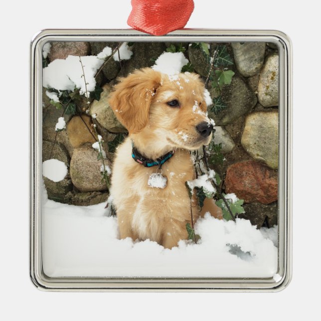 Ornement Métallique Chiot à neige (Devant)
