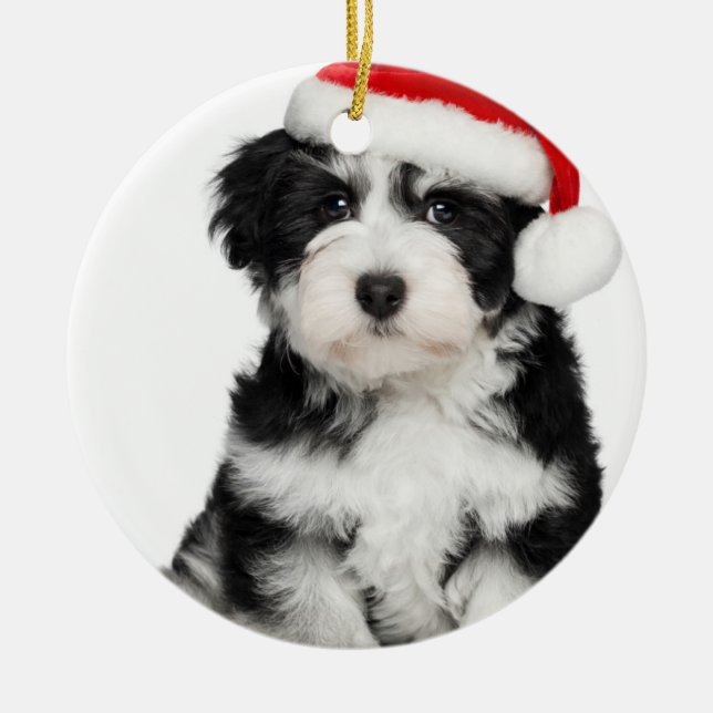 Ornement Métallique Chiot de Havanese de Noël (Devant)
