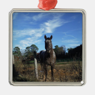 Ornement Métallique Chocolat au lait Cheval Brown en bleu