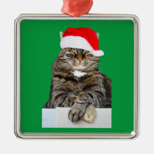 Ornement Métallique Christmas Cat Humbug Photo Premium Square Ornament