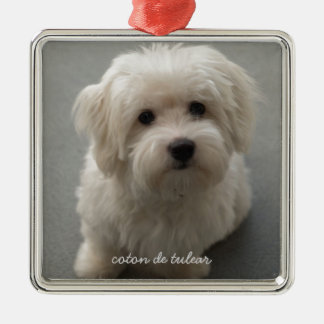 Ornement Métallique Coton de Tulear
