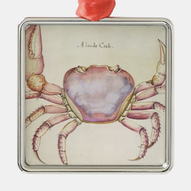 Ornement Métallique Crabe terrestre (Devant)