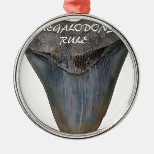 Ornement Métallique Dent de requin de Megalodon
