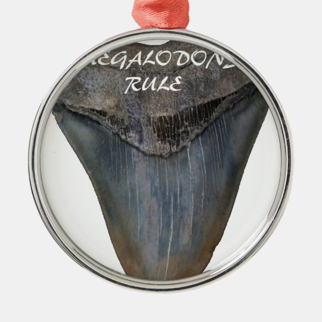 Ornement Métallique Dent de requin de Megalodon (Devant)