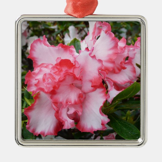 Ornement Métallique Double rouge et blanc Azaleas printemps floral (Devant)