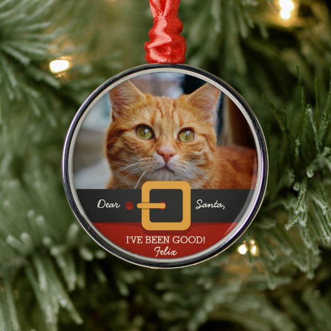 Ornement Métallique Drôle Noël Père Noël Chat Photo et Nom Personnalis (Arbre)