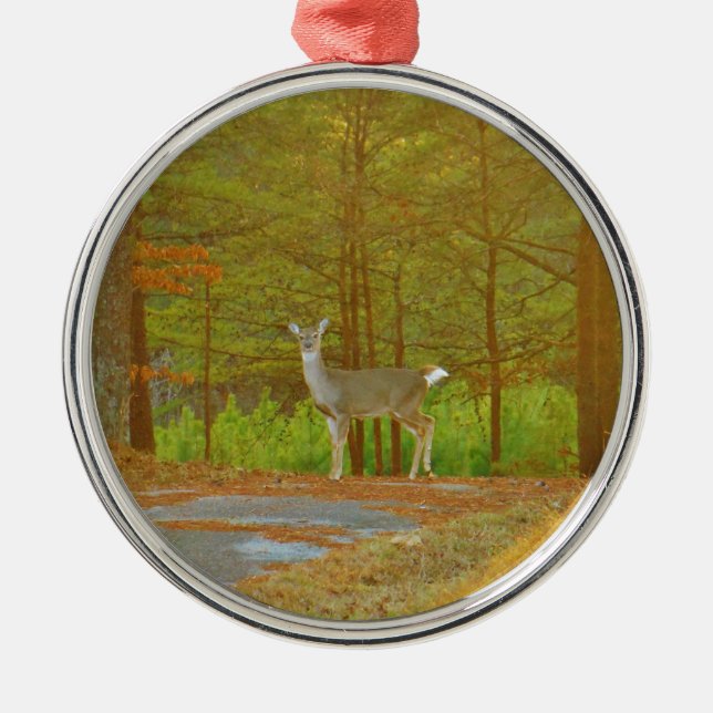 ORNEMENT MÉTALLIQUE DSCF4041.JPG (Devant)