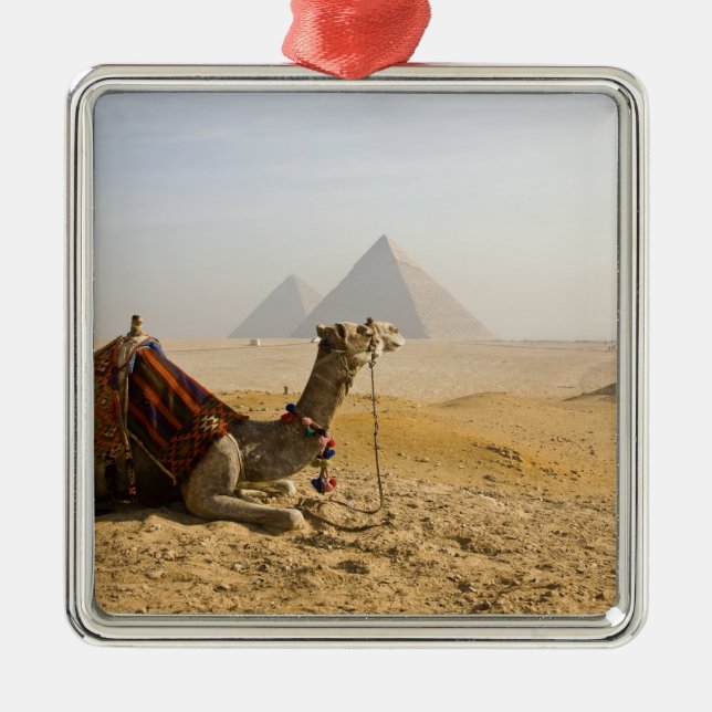 Ornement Métallique Egypte, Le Caire. Un chameau solitaire (Devant)