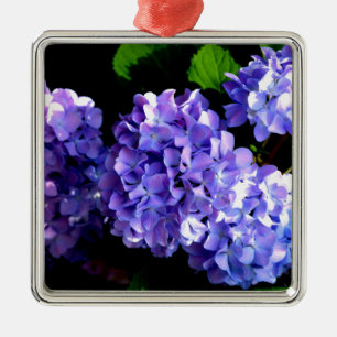 Ornement Métallique Elégante fleurs florales violettes profondes hydra