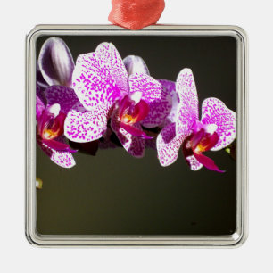 Ornement Métallique Élégante orchidée rose fleurie tropicale