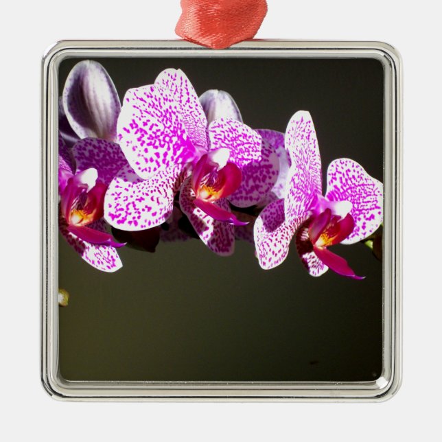 Ornement Métallique Élégante orchidée rose fleurie tropicale (Devant)
