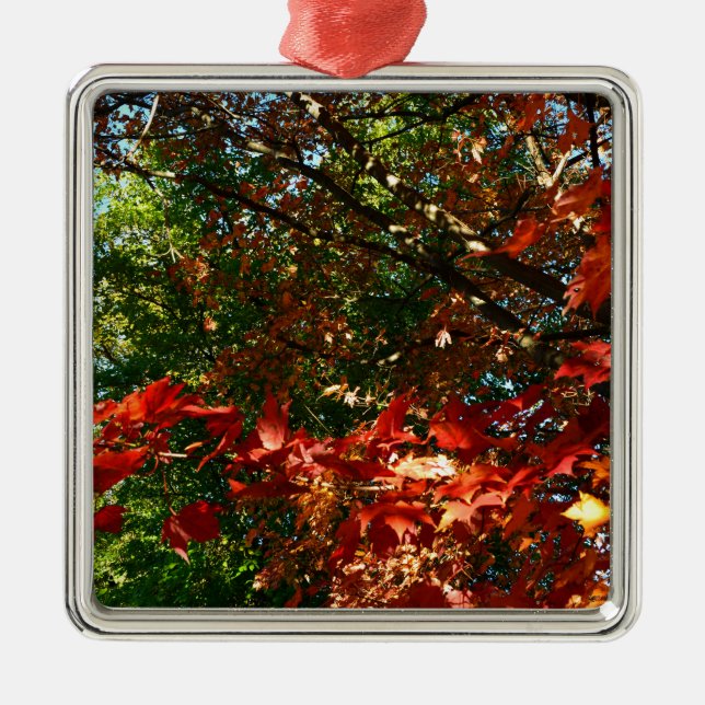 Ornement Métallique Érable japonais, arbre d'automne feuilles (Devant)