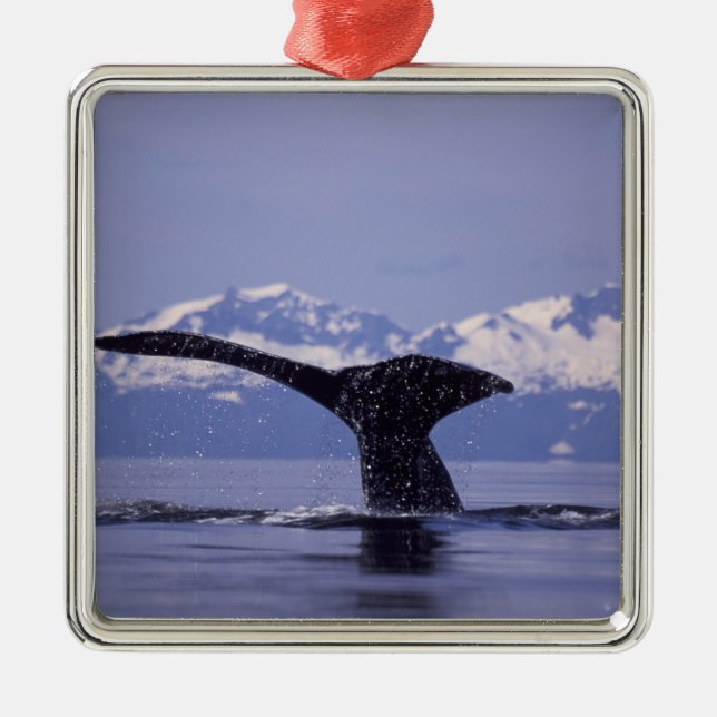 Ornement Métallique États-Unis, Alaska, baleine à bosse du passage int (Devant)