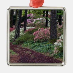 Ornement Métallique États-Unis, Géorgie, Callaway Gardens.Piste