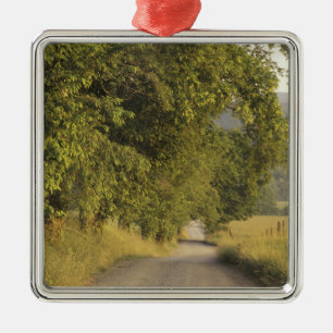 Ornement Métallique États-Unis, Tennessee, Great Smoky Mountains Natio