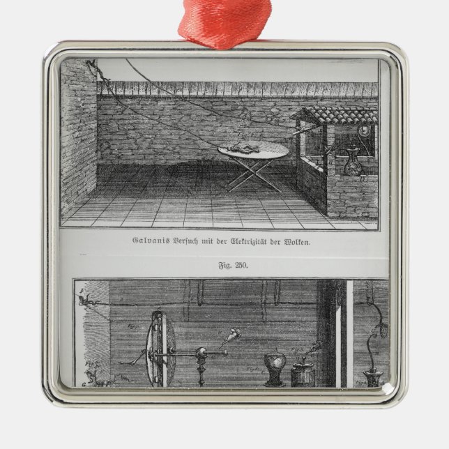 Ornement Métallique Expérience sur des grenouilles par Louis Galvani (Devant)