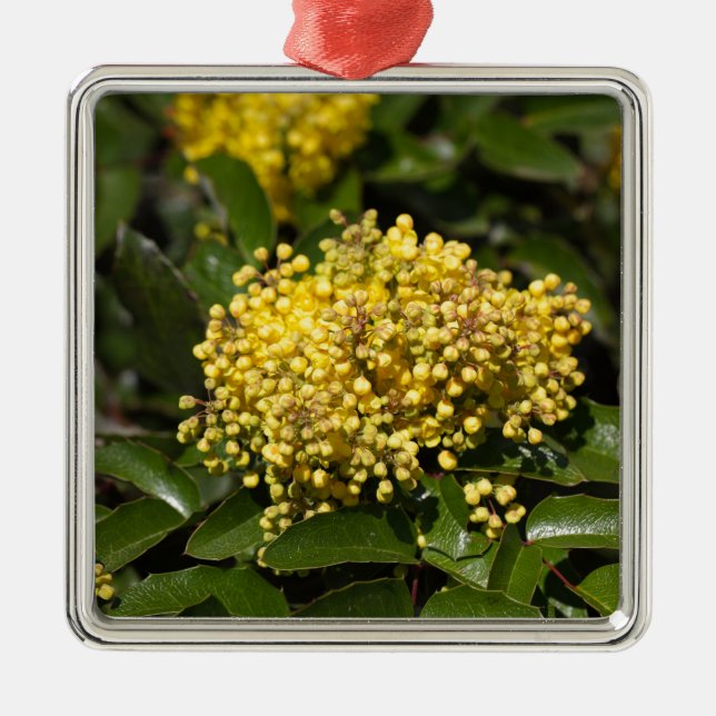 Ornement Métallique Fleurs d'un buisson de raisin d'Orégon (Devant)