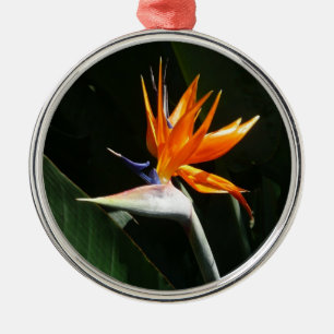 Ornement Métallique Flower tropical orange paradise
