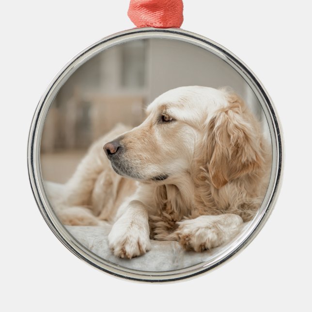 Ornement Métallique Golden Retriever (Devant)