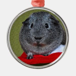 Ornement Métallique Guinea Pig Christmas