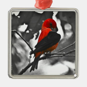 Ornement Métallique Homme Scarlet Tanager