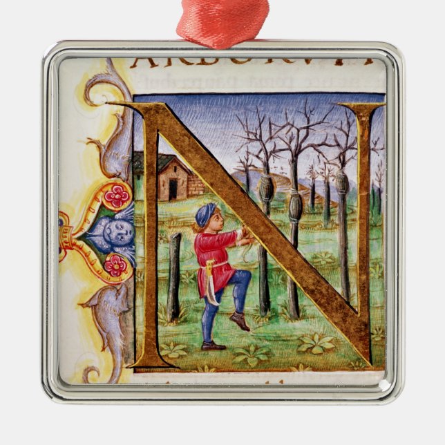 Ornement Métallique Initiale 'N de Historiated (Devant)