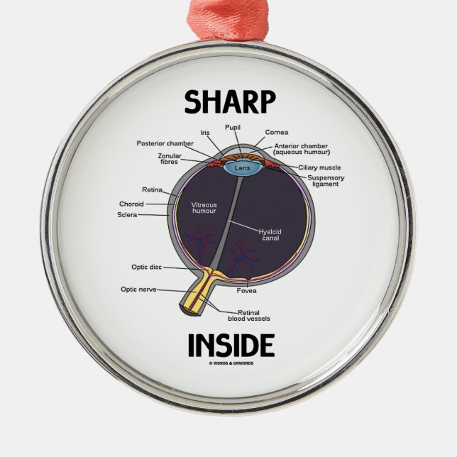 Ornement Métallique Intérieur de l'oeil de lynx (i) (globe oculaire (Devant)