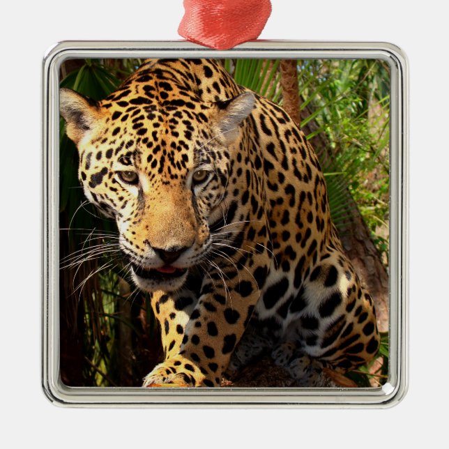 Ornement Métallique Jaguar Adolescent (Devant)