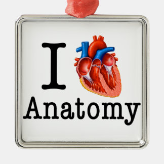Ornement Métallique J'aime l'anatomie