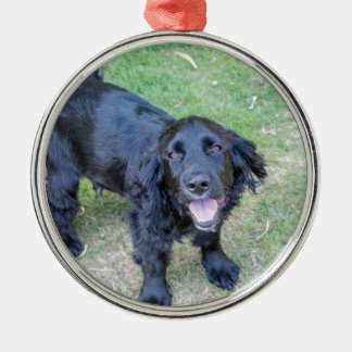 Ornement Métallique Joli chiot noir