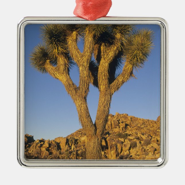 Ornement Métallique Joshua Tree, Yucca brevifolia) et granit (Devant)