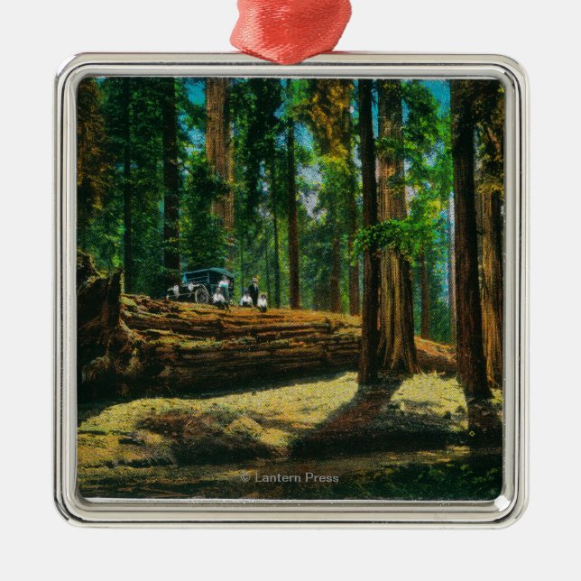 Ornement Métallique La forêt géante d'ouverture automatique, séquoias (Devant)
