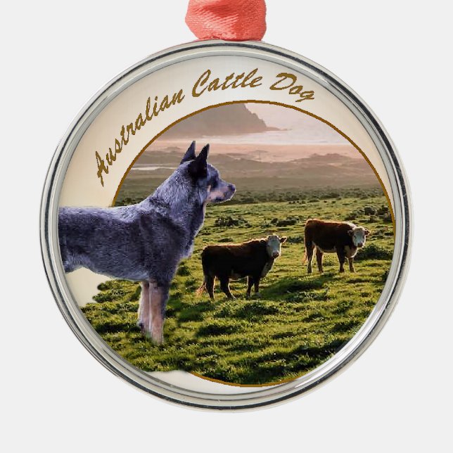 Ornement Métallique L'art du chien de bétail australien (Devant)