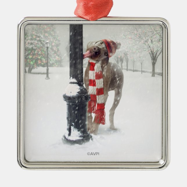 Ornement Métallique Le chien drôle de Noël lèche Polonais (Devant)