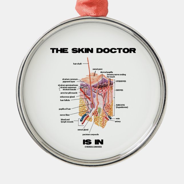 Ornement Métallique Le docteur de peau est dans (la dermatologie (Devant)