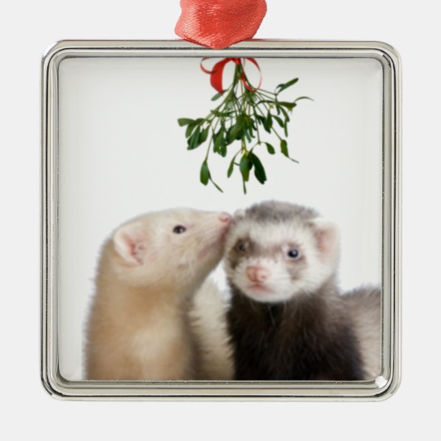 Ornement Métallique Le furet se bécote l'ornement (Devant)