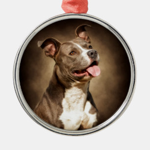 Ornement Métallique Le pitbull bleu américain