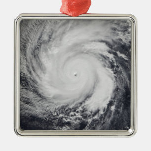 Ornement Métallique Le typhon Faxai dans l'ouest de l'océan Pacifique