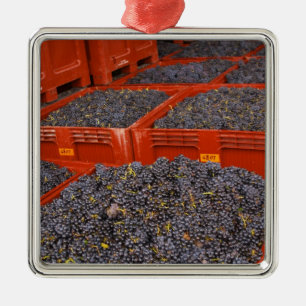 Ornement Métallique Les raisins de Gamay, à partir de la récolte