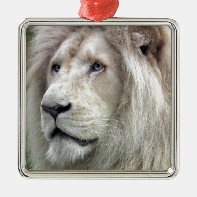 Ornement Métallique Lion blanc (Devant)