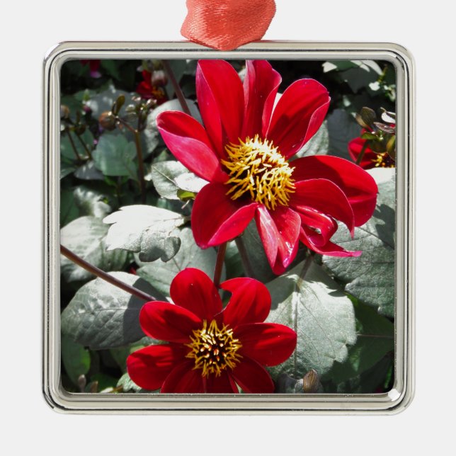 Ornement Métallique marguerite rose chaud rouge / marguerites fleurs (Devant)