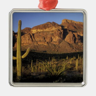 Ornement Métallique NA, États-Unis, Arizona. Organ Pipe Cactus Nationa