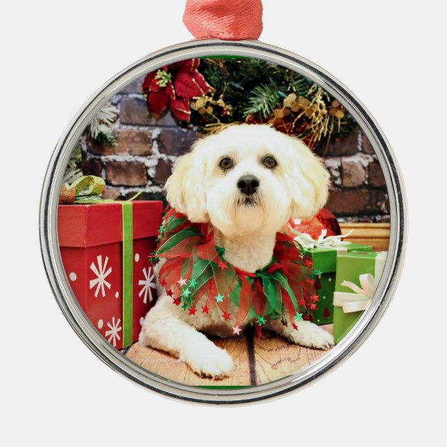 Ornement Métallique Noël - Lhasa Apso - Jack (Devant)