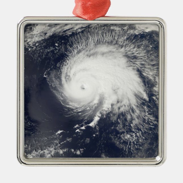 Ornement Métallique Ouragan Gordon (Devant)