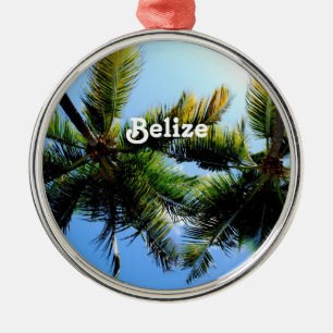 Ornement Métallique Palmiers de Belize
