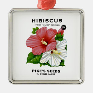 Ornement Métallique Paquet de semence Vintage Shasta Daisy