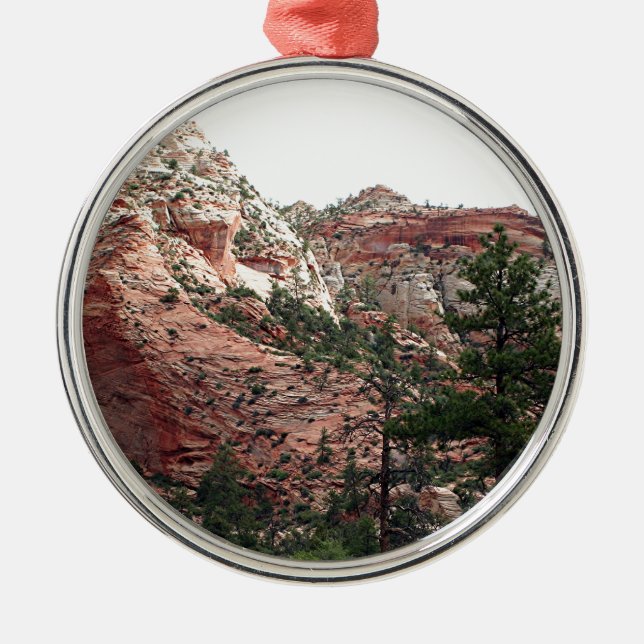 Ornement Métallique Parc national de Zion, Utah, Etats-Unis 14 (Devant)