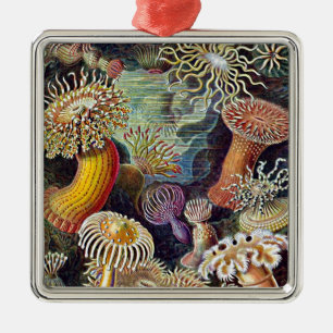 Ornement Métallique Peinture sur l'anémone océanique d'Haeckel