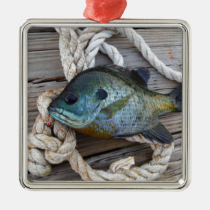 Ornement Métallique Poissons de poisson de soleil sur le dock et la