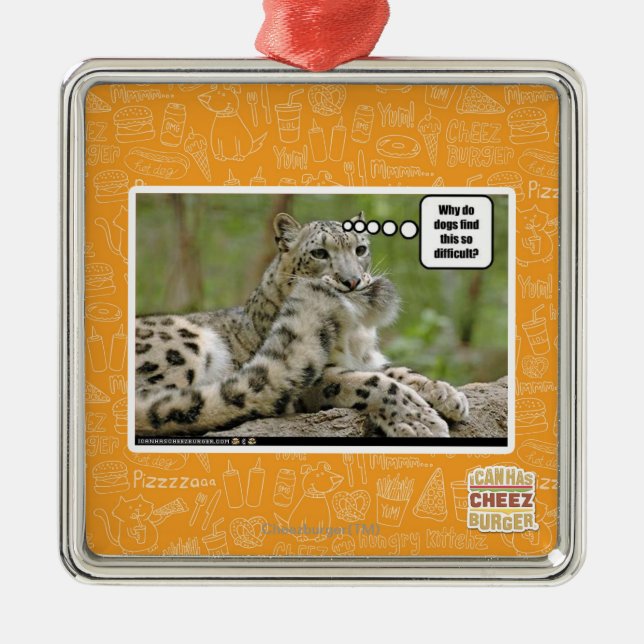 Ornement Métallique Pourquoi les chiens trouvent-ils ceci si difficile (Devant)